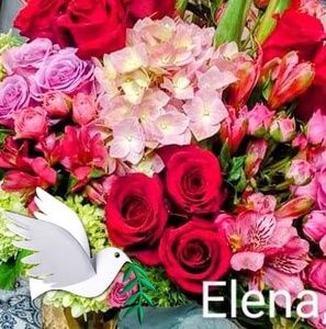 Meet your Posher, Rosio